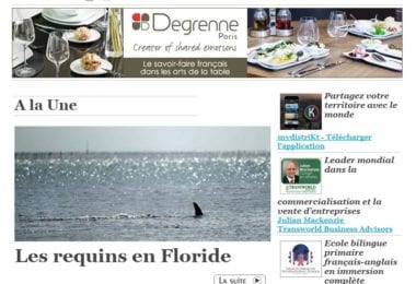 La newsletter French District Floride du Jeudi 30 Avril 2015 - Les requins en Floride
