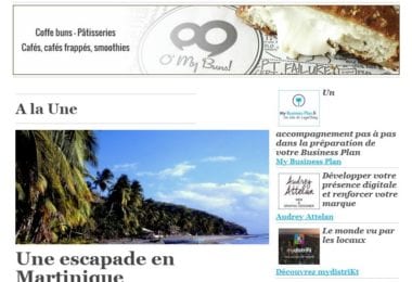 La newsletter French District Floride du Jeudi 7 Juillet 2016 - Direction l'ile aux fleurs