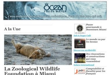 La newsletter French District Floride du Jeudi 8 Décembre 2016 - Des calins sauvages