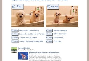 La newsletter French District Floride du Lundi 4 Juillet 2011 - Devenez Fan de French District sur Facebook