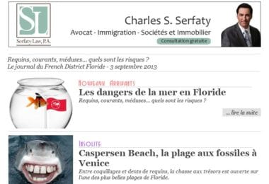 La newsletter French District Floride du Mardi 3 Septembre 2013 - Requins
