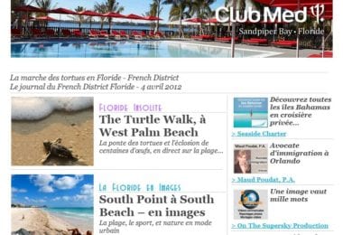 La newsletter French District Floride du Mercredi 4 Avril 2012 - La marche des tortues en Floride - French District