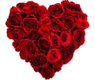 Categorie speciale Saint Valentin