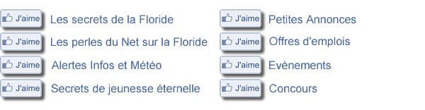 Devenez Fan de French District sur Facebook