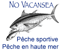 No Vacansea Fishing Charter