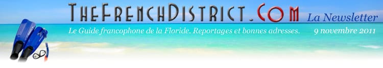 The French District