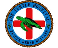 The Turtle Hospital, le paradis des ninjas