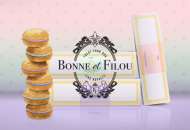 Oh my dog! Des macarons