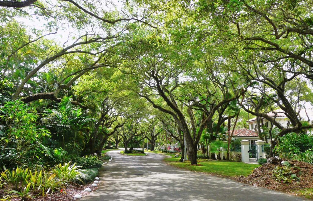 Une rue typique de Coral Gables