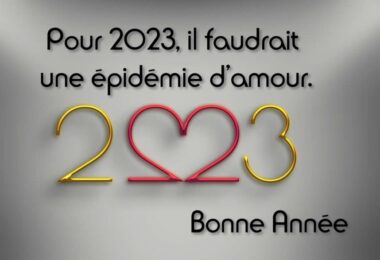 La bonne année par ceux qui savent compter (pour vous)