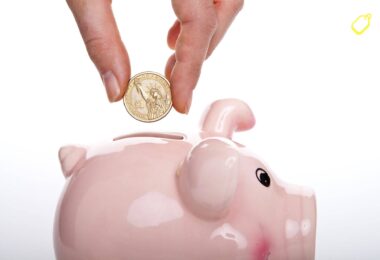 zapptax-application-detaxe-economies-tva-achats-france-2025