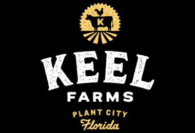 Blueberry Festival (Plant City)