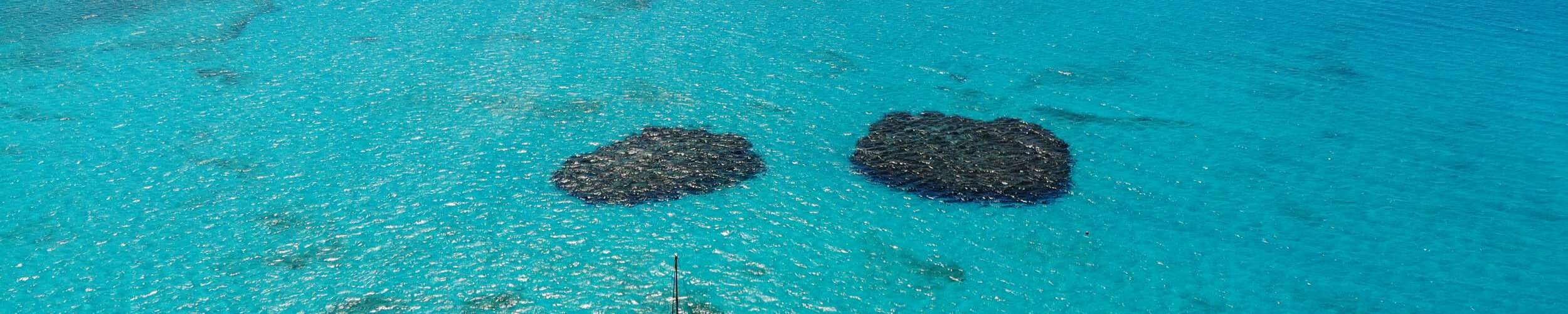 kiskeedee-croisiere-voilier-abacos-bahamas-fowl-cay-marine-reserve