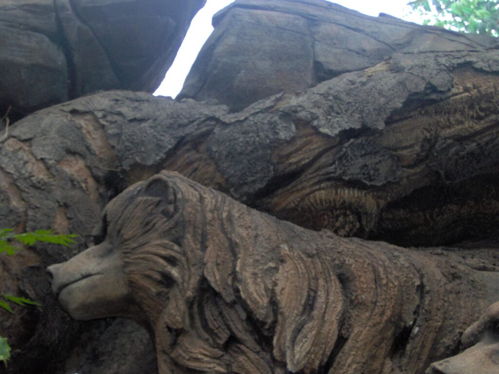 Un lion sculpté dans l’écorce du tronc de l’Arbre de vie, à Disney’s Animal Kingdom