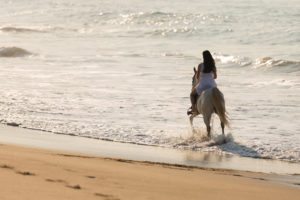 back view of young lady horse ride on the beach