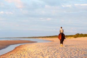 Teenage girl riding horse on the beach at sunset. Baltic sea. Vibrant multicolored summertime outdoors horizontal image.