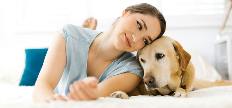 angel-five-star-pet-care-franchise-pet-sitting-walking-02
