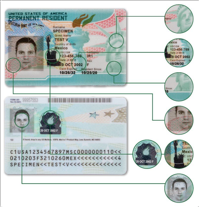 Recto et verso d'un spécimen de carte de résident permanent américain, avec les éléments de sécurité signalés