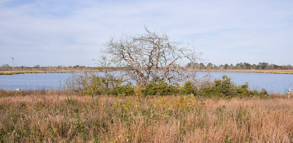 Jamaica Bay Wildlife Refuge – Queens