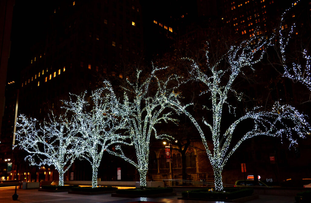 Les arbres illuminés de Park Avenue à Manhattan