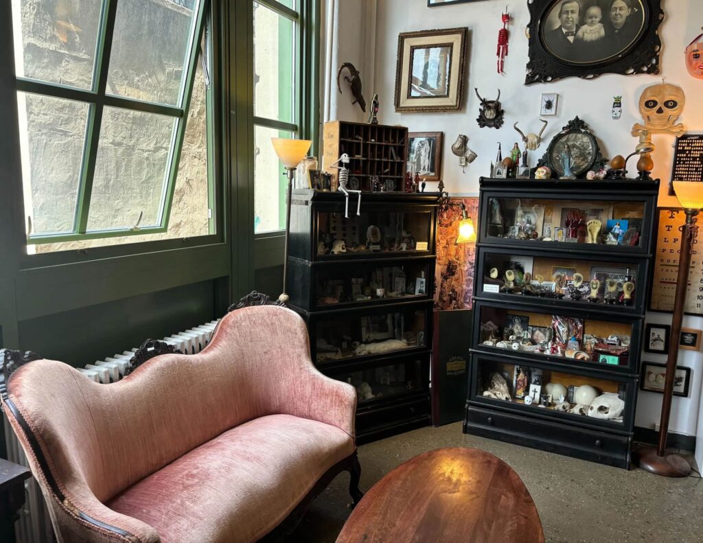 morbid-anatomy-library-brooklyn