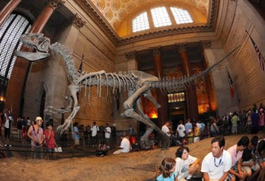 American Museum of Natural History