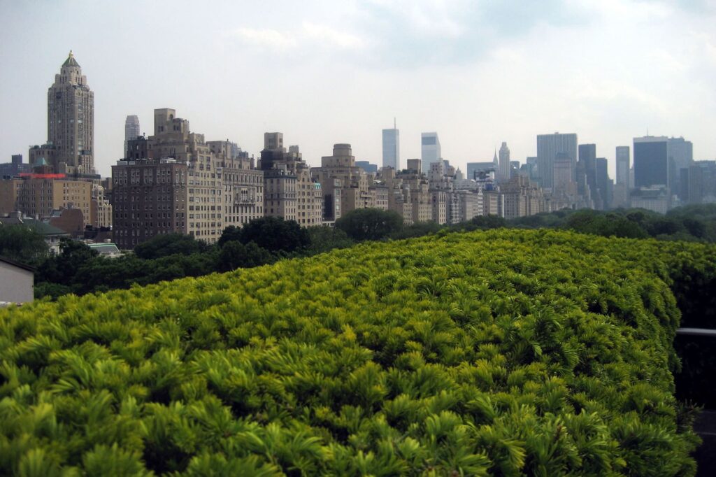 Vue de Manhattan depuis le toit du Metropolitan Art Museum