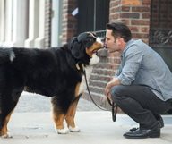 Les bons plans quand on a un chien à Manhattan