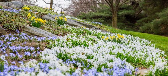 Les plus beaux parcs botaniques de New York