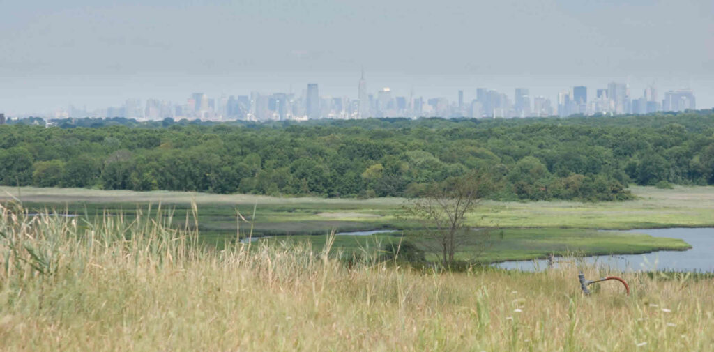 journee-staten-island-freshkills-park