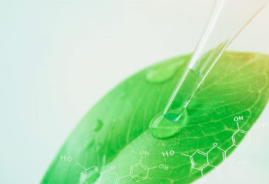 homeogum-medication-naturelle-homeopathie-phytotherapie-plantes-featured