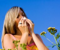 Les allergies en Géorgie