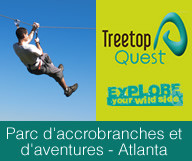 Treetop Quest