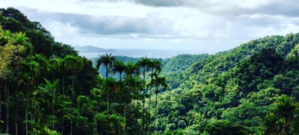 La Martinique, une île sublime