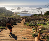 Les sentiers au Lands End Parc