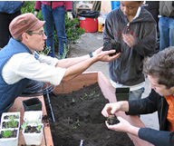 Le Garden for the Environment à San Francisco