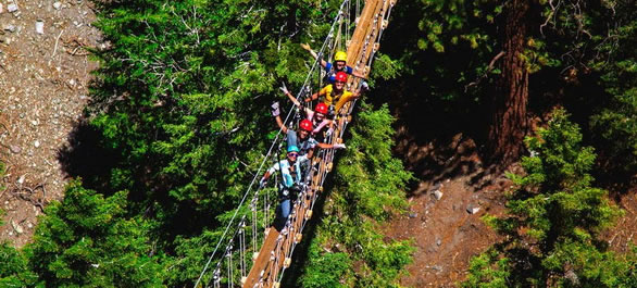 Prenez de la hauteur aux Big Pines Ziplines