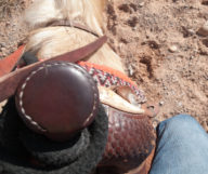 Faire du cheval à Los Angeles
