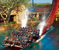 Busch Gardens ou le royaume des montagnes russes en Floride