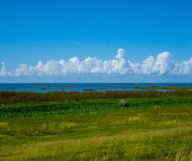 Les plus belles balades au bord du lac Okeechobee