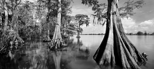 Une nuit au cœur des Everglades