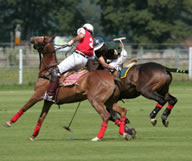 Un match de Polo en Floride