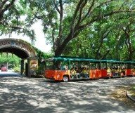 Dans les rues de la belle St Augustine