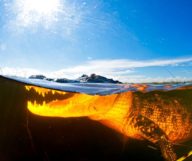 Les Everglades en hydroglisseur