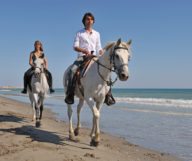 Faire du cheval sur la plage en Floride