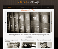 David Willig - Avocat Floride