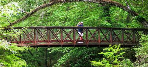 Big Thicket National Preserve