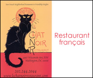 Le Chat Noir