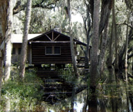 Dormir à la belle étoile, ou presque, au milieu des plus beaux parcs naturels de Floride.