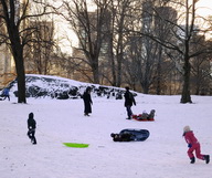 Central Park sous la neige